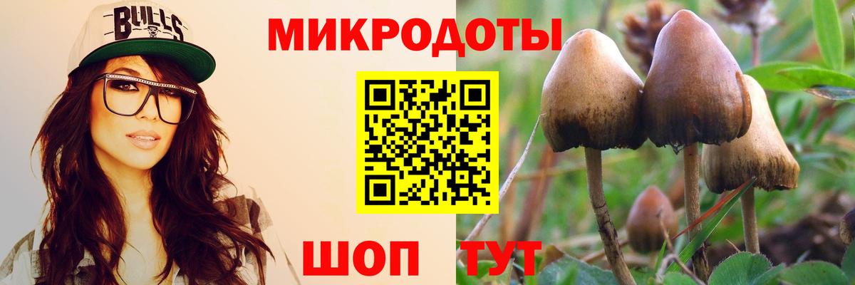 Псилоцибиновые грибы мицелий  Псилоцибиновые грибы Psilocybine cubensis  Вход с VPN  Ставрополь 